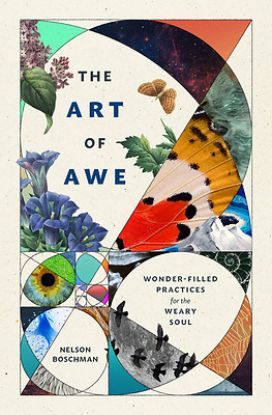 Picture of The Art of Awe