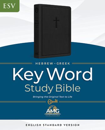 Picture of The Hebrew-Greek Key Word Study Bible