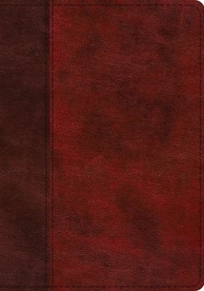 Picture of ESV Single Column Journaling Bible, Large Print (Trutone, Burgundy/Red, Timeless Design)