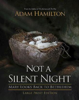 Picture of Not a Silent Night