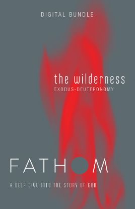 Picture of Fathom Bible Studies: The Wilderness Digital Bundle (Exodus-Deuteronomy)