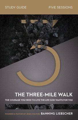 Picture of The Three-Mile Walk