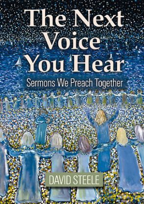 Picture of The Next Voice You Hear