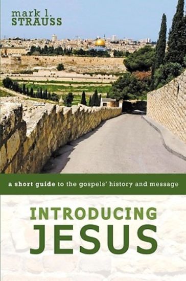 Picture of Introducing Jesus - eBook [ePub]