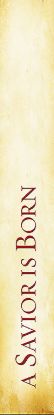 Picture of Christmas Parchment Parament Bible Marker