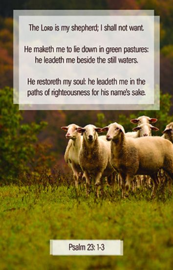 Picture of My Shepherd Worship Bulletin PKG 100